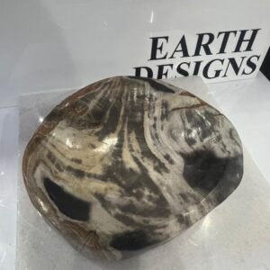 Bowl de Madera Petrificada