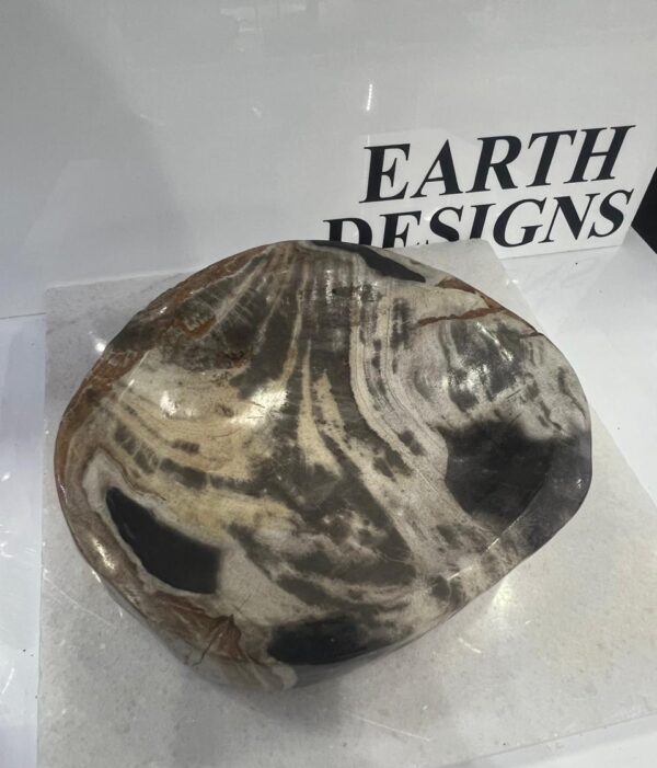 Bowl de Madera Petrificada