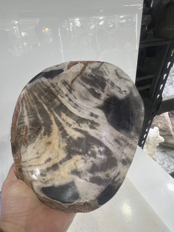 Bowl de Madera Petrificada - Image 2