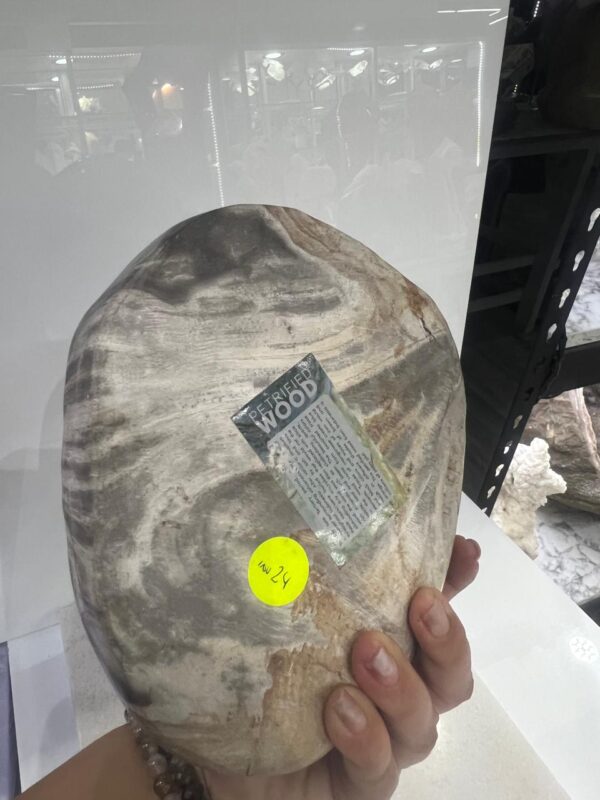 Bowl de Madera Petrificada - Image 5
