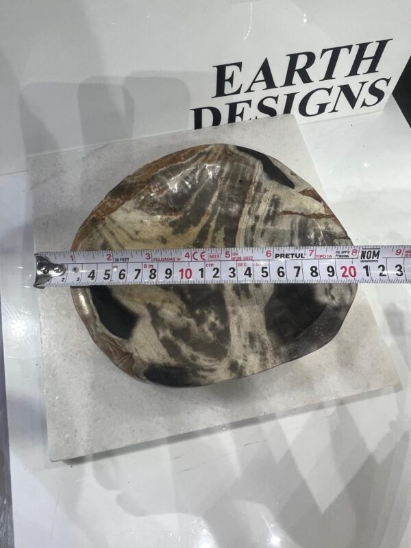 Bowl de Madera Petrificada - Image 4
